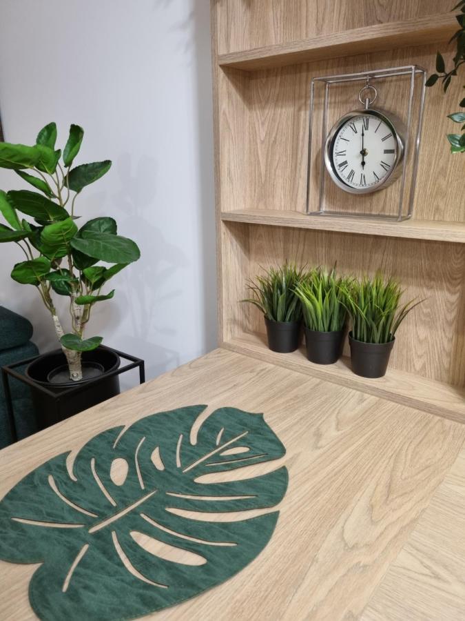 Apartament Sloneczny -Sciegiennego キェルツェ エクステリア 写真