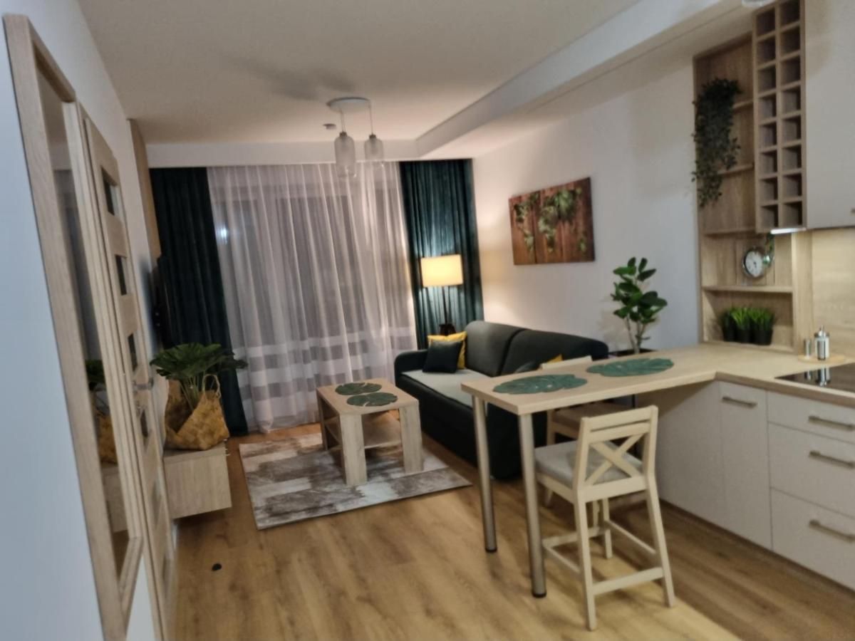 Apartament Sloneczny -Sciegiennego キェルツェ エクステリア 写真